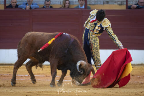 Novillada en La Línea